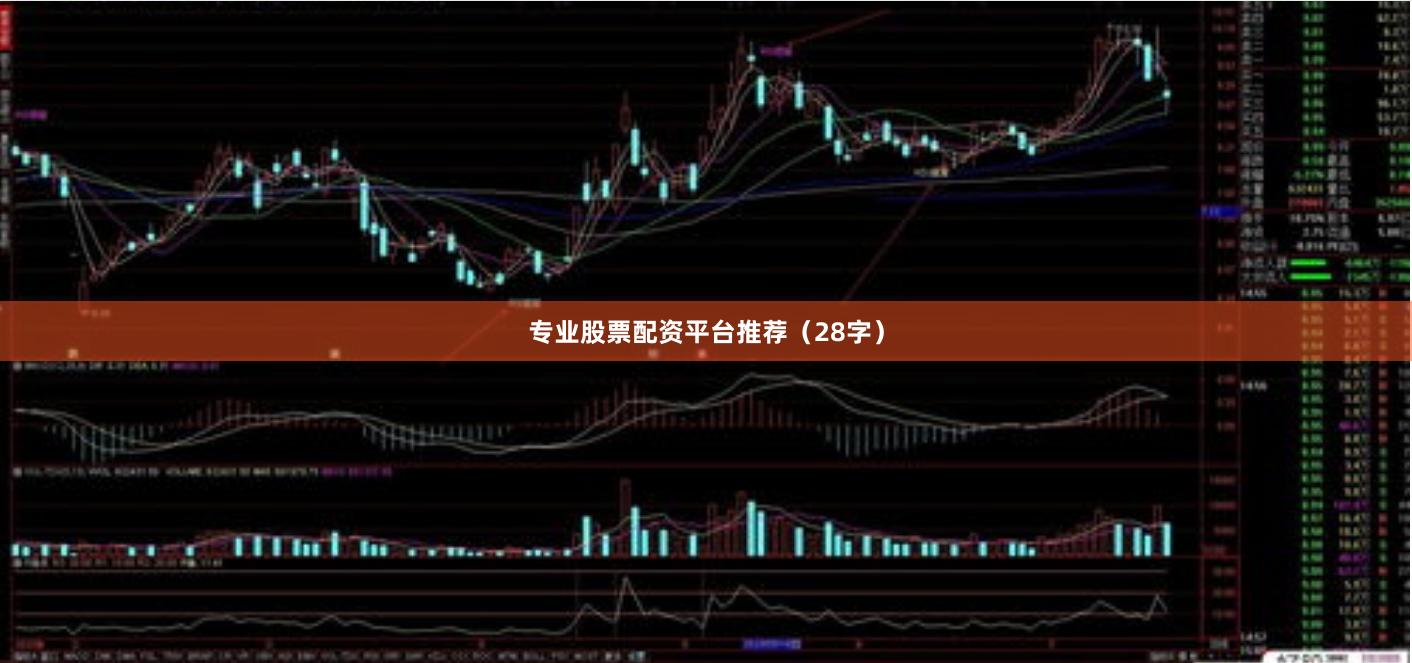 专业股票配资平台推荐（28字）